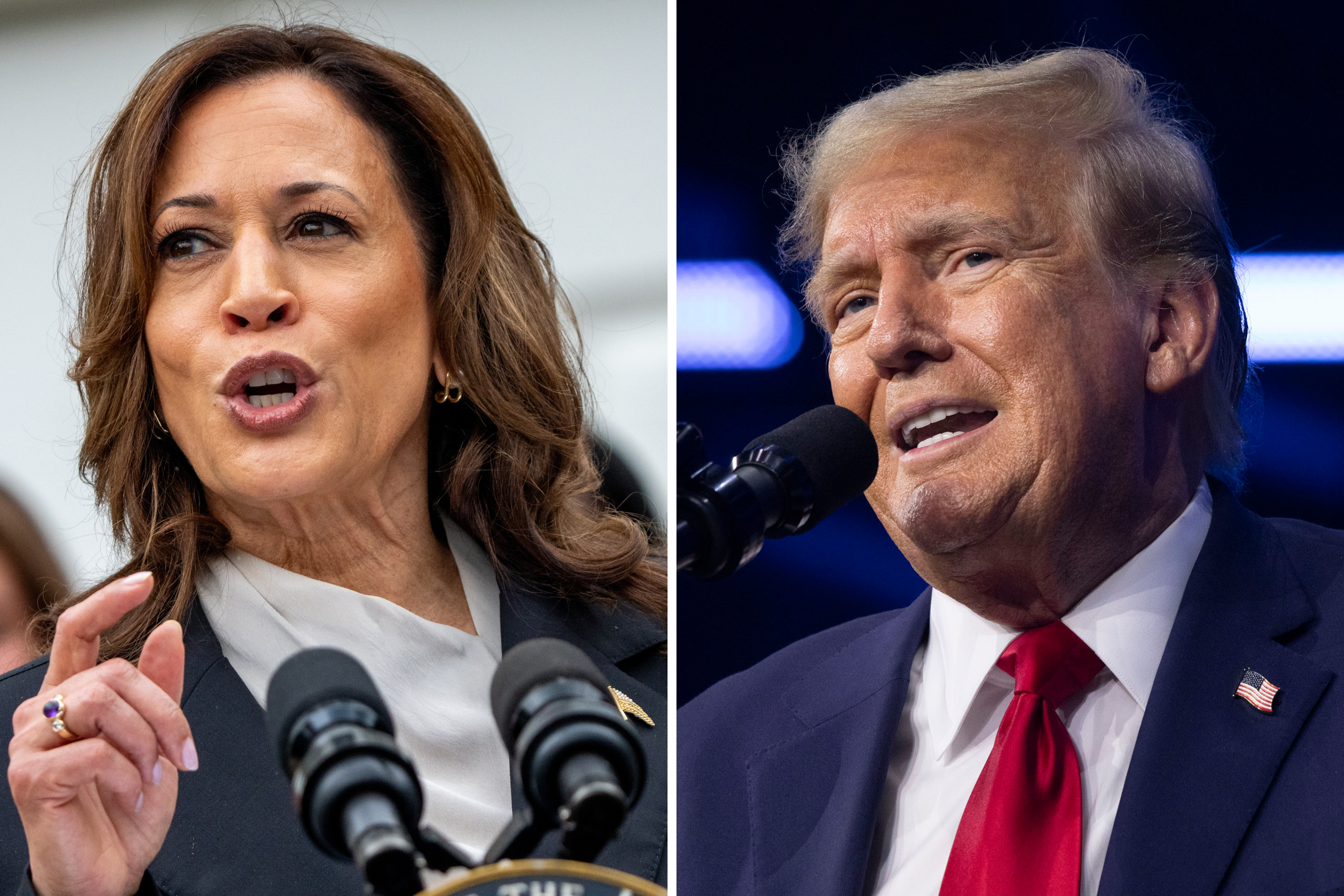 Donald Trump's latest Kamala Harris attack ad—Fact checked